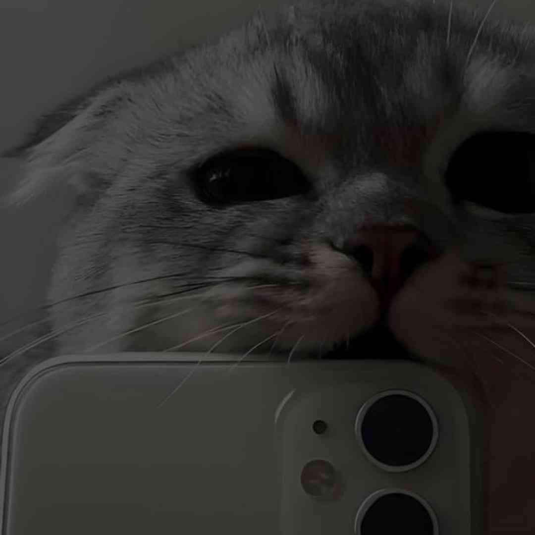  شدی مث سم هرجا بودی تنها وایسا برسم آسمون شهر تار میشه