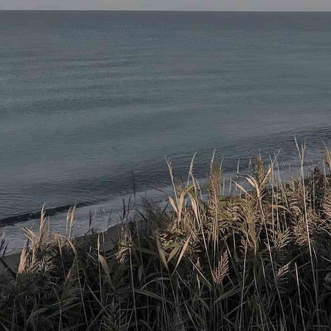  عشق هایده و ادل با هوش مصنوعی