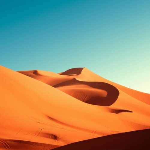 آهنگ جدید ببینم اینکه داره به ما انقدر بد میگذره عیب نی از دشی