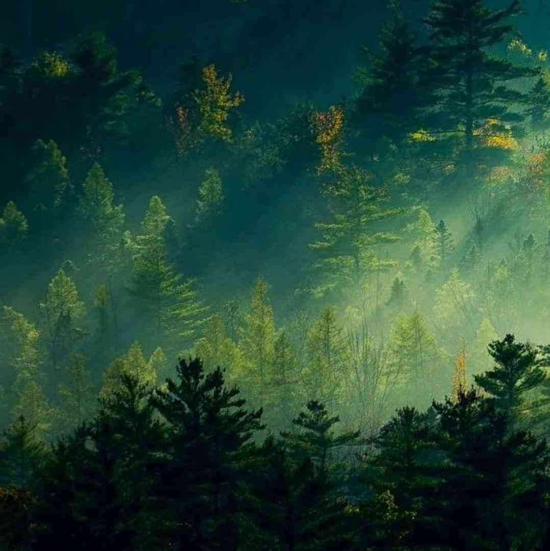 دست بیار به سمتم از کل دنیا دست میکشم