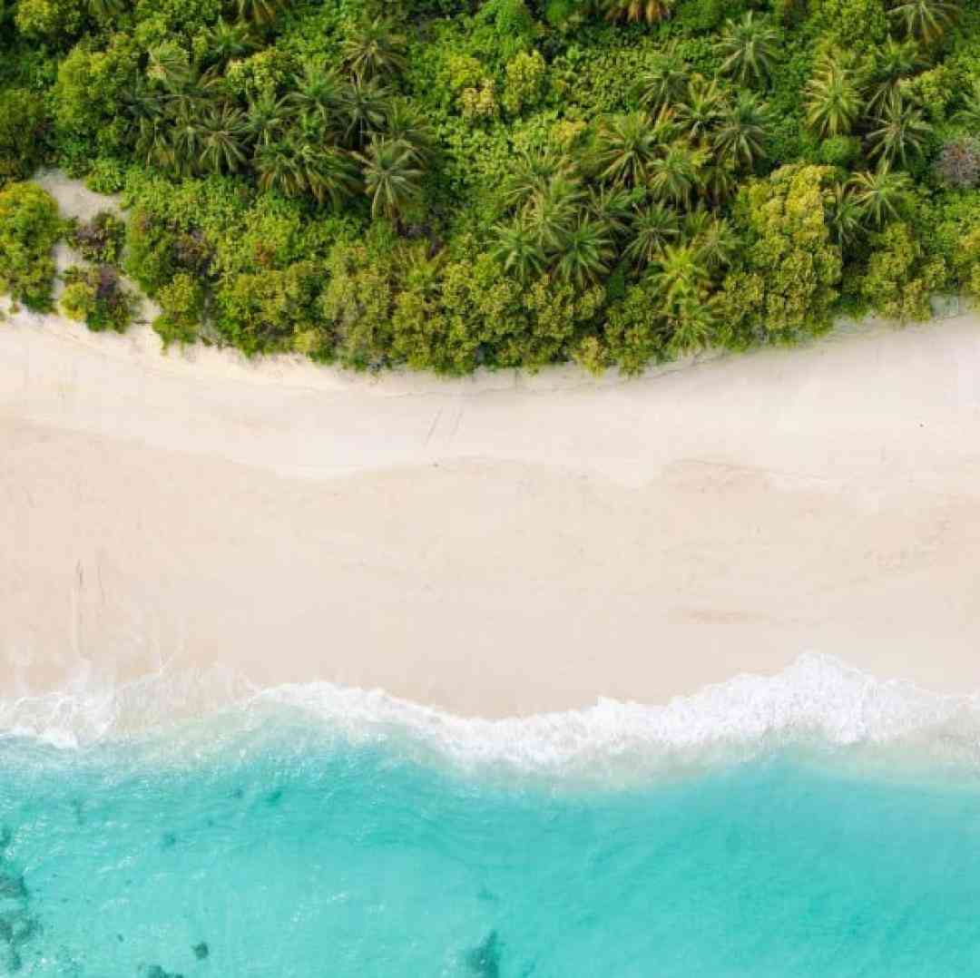  میش میش میش د موش موش موش - ترند اینستا