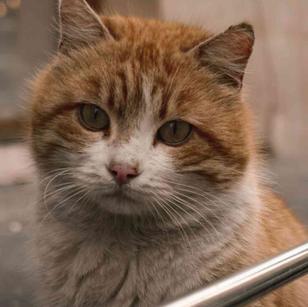 بچه بودیم بزرگ شدیم تو کوچه باریکی