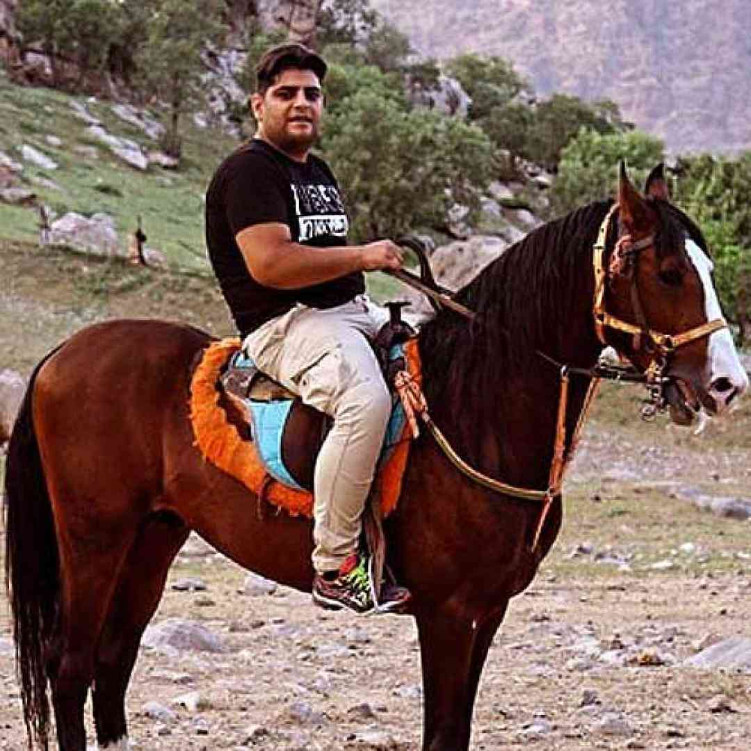 فرشاد مرادی تاوان