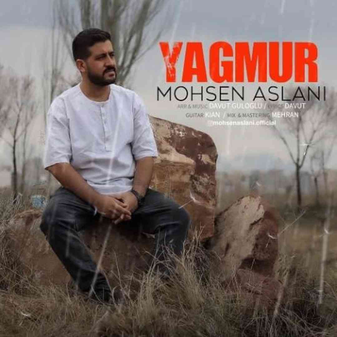 محسن اصلانی یاغمور