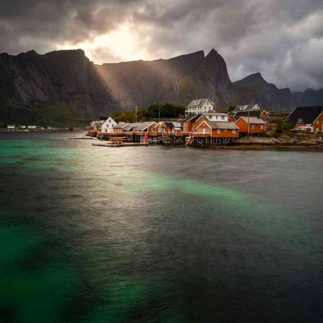 کبوتر دلم از لب بوم دلت نمیپره بخود سنگ میزنی