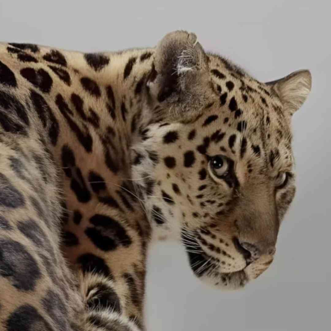 بیا برگردیم اونجا که قهر کردیم