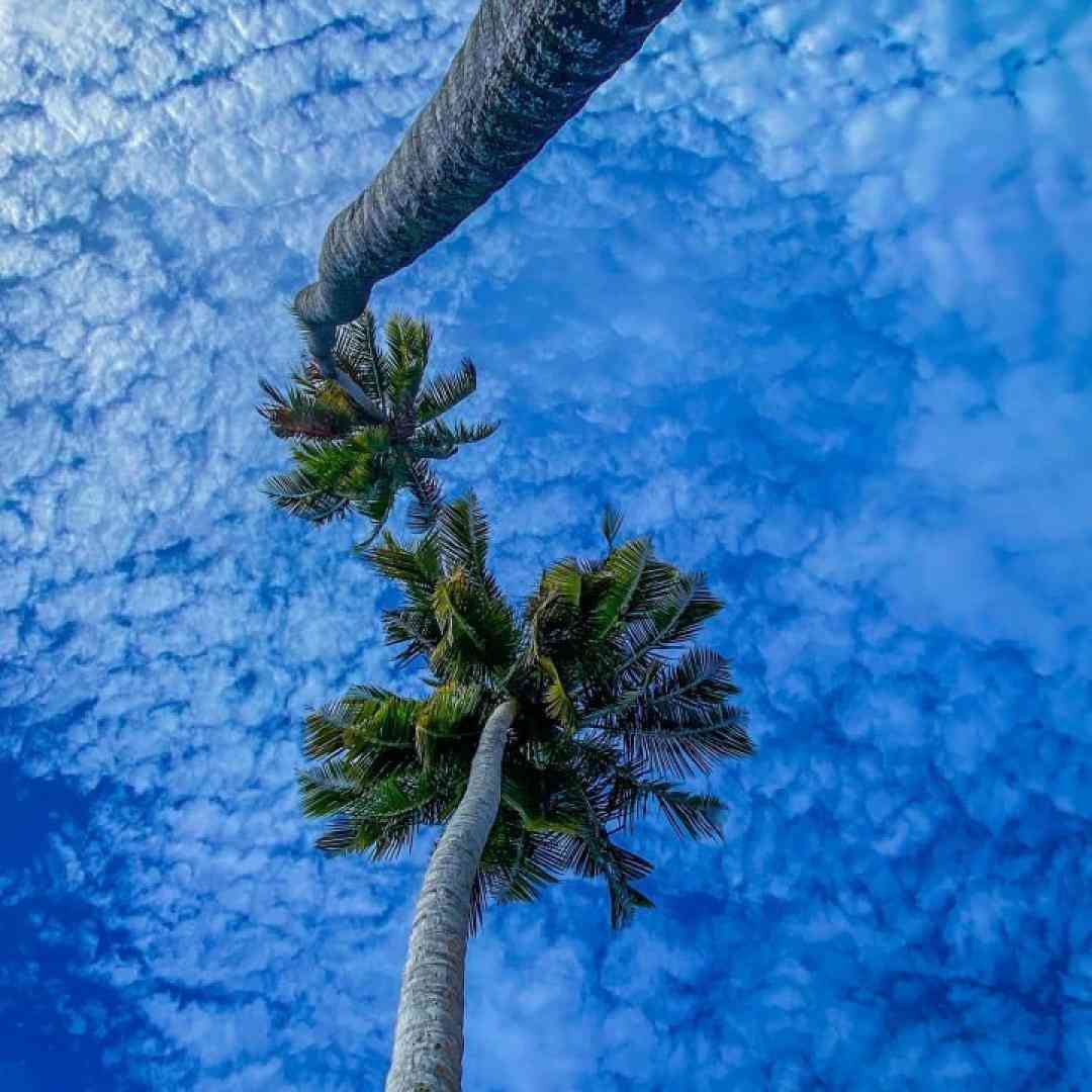 خونه ی مادربزرگه هزارتا قصه داره