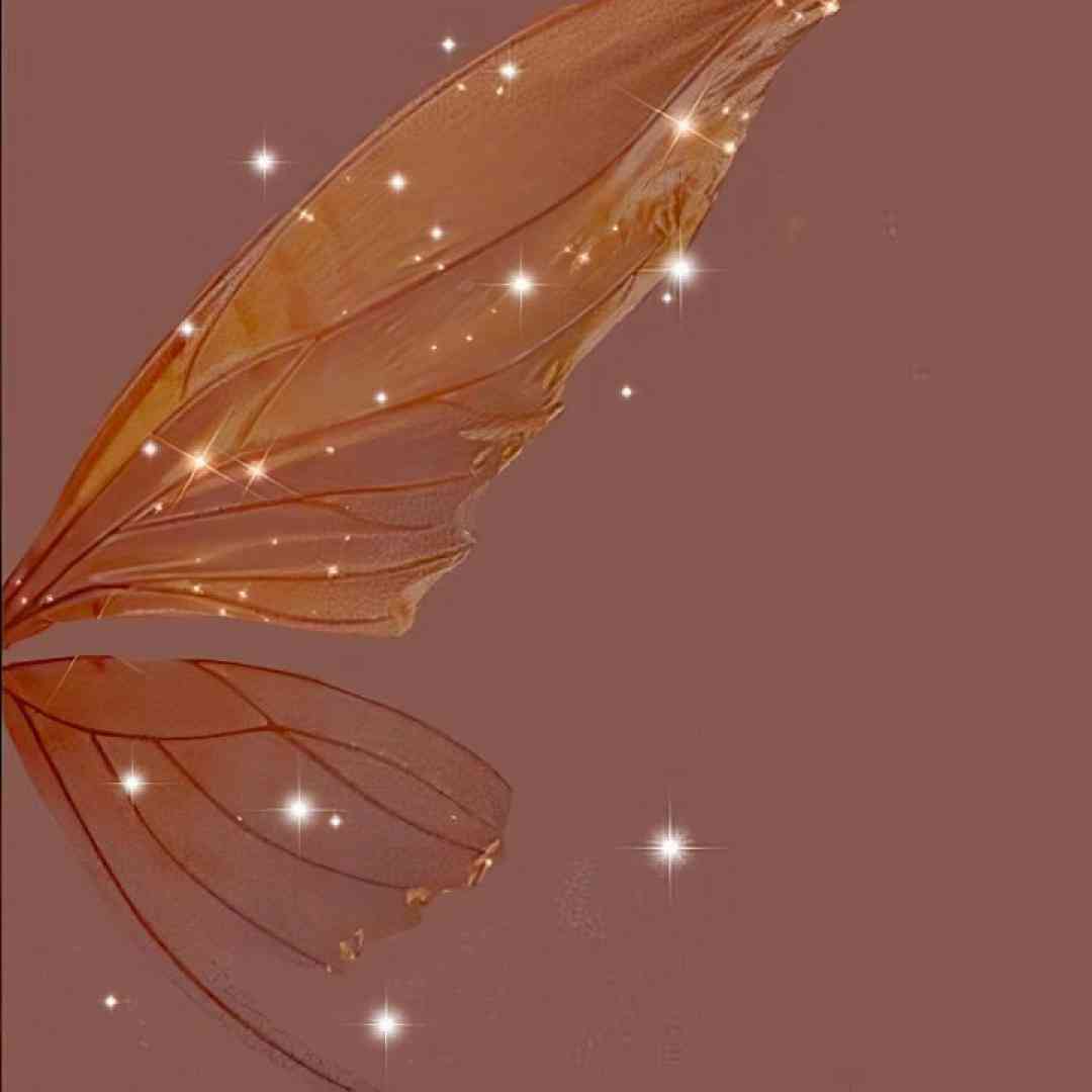 فاطمه عطایی آق ننه