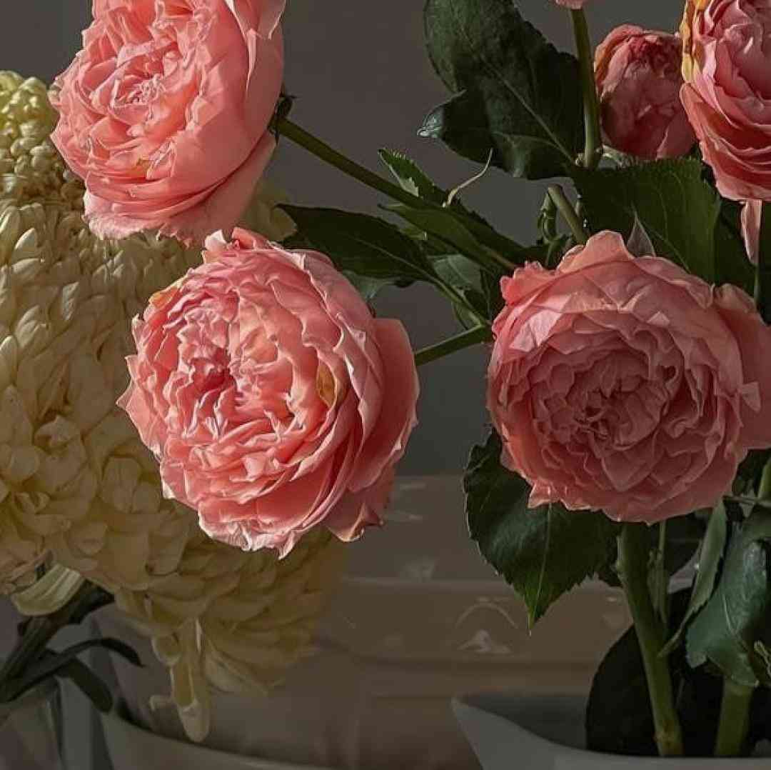 از خواب پریدم دیدم نیستی دم صبح