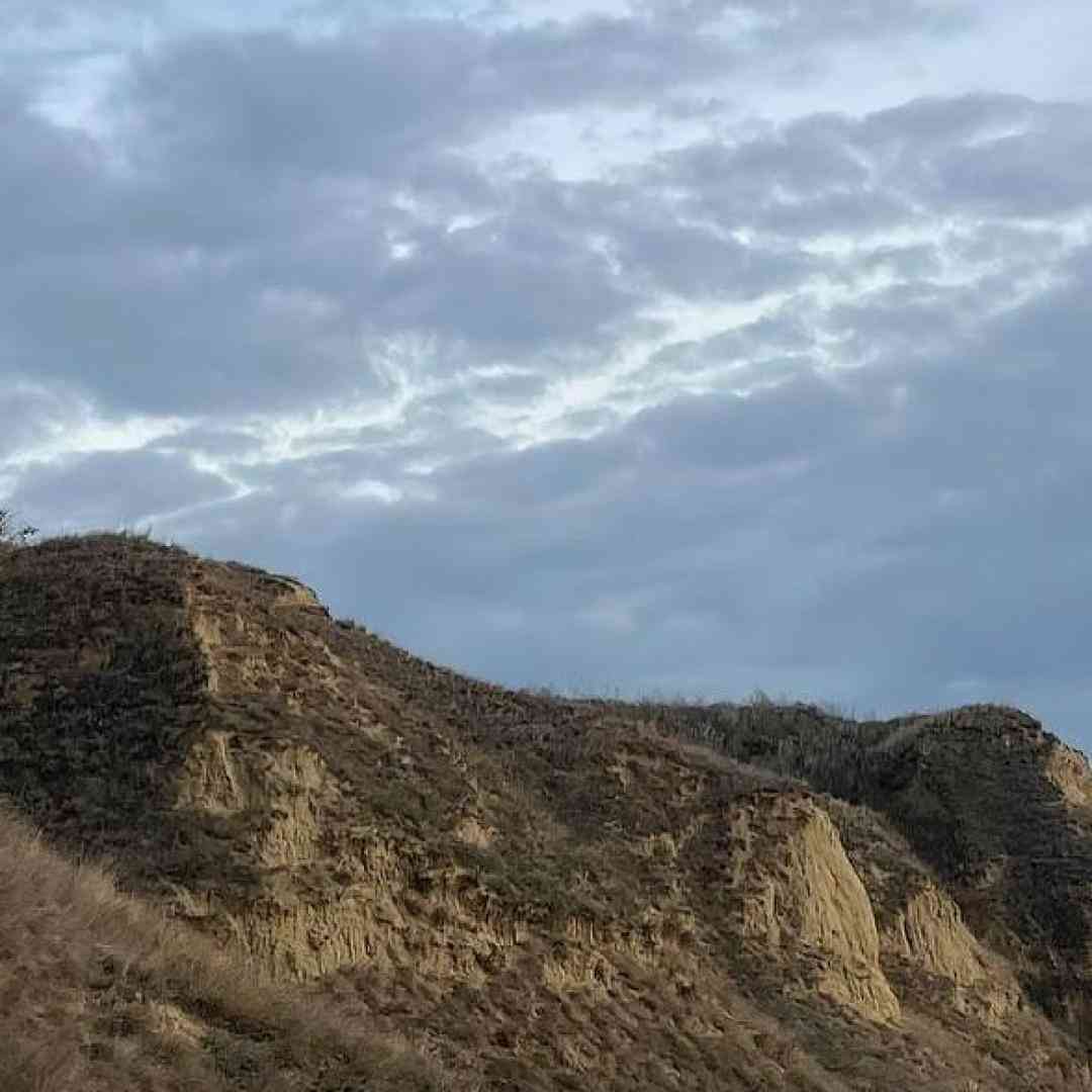 بیا برگردیم به هم من حاضرم هوش مصنوعی