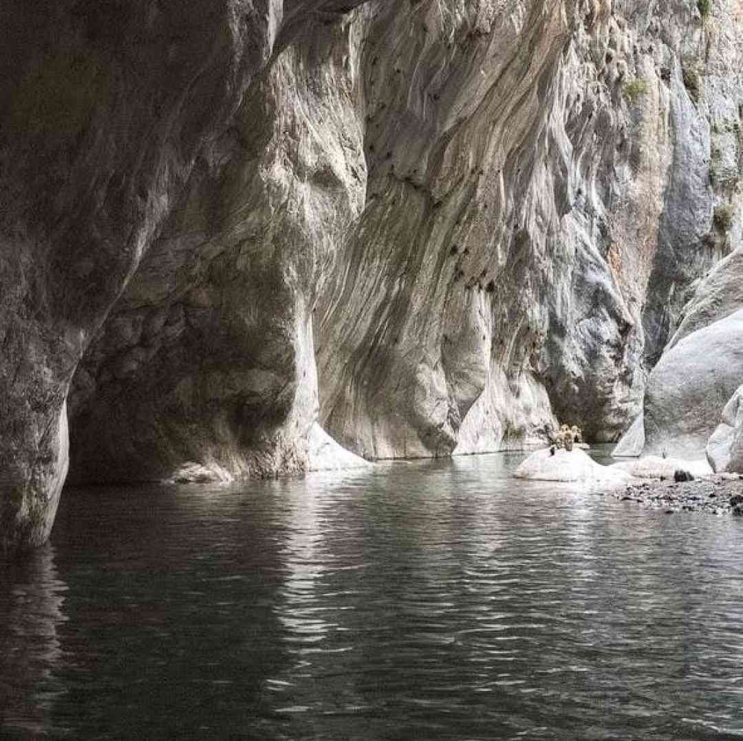 میذارم فکر کنن منو دور زدن حرفا بیشتر