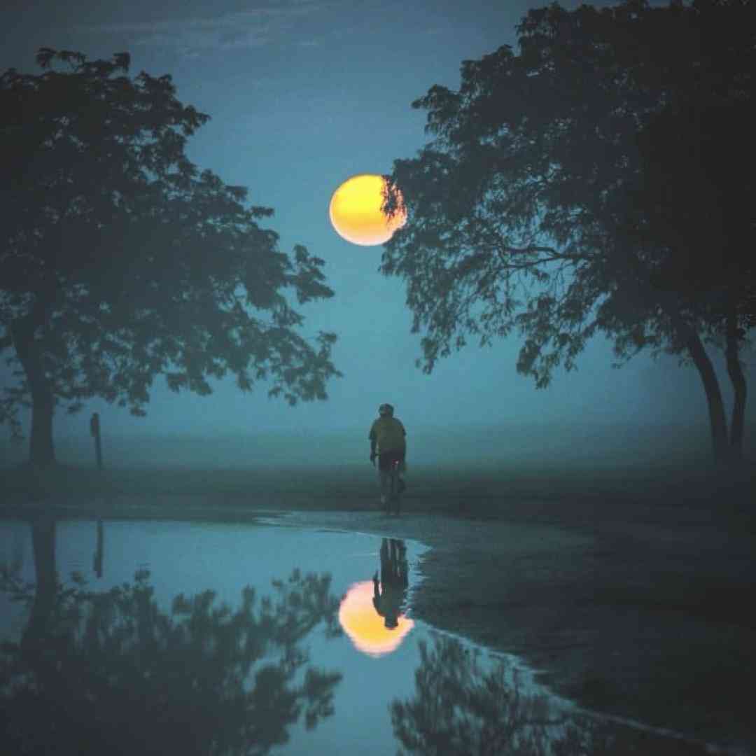  دیوار راستو صاف بالا میرم انقد بردم رفیقام جفت پا میگیرن