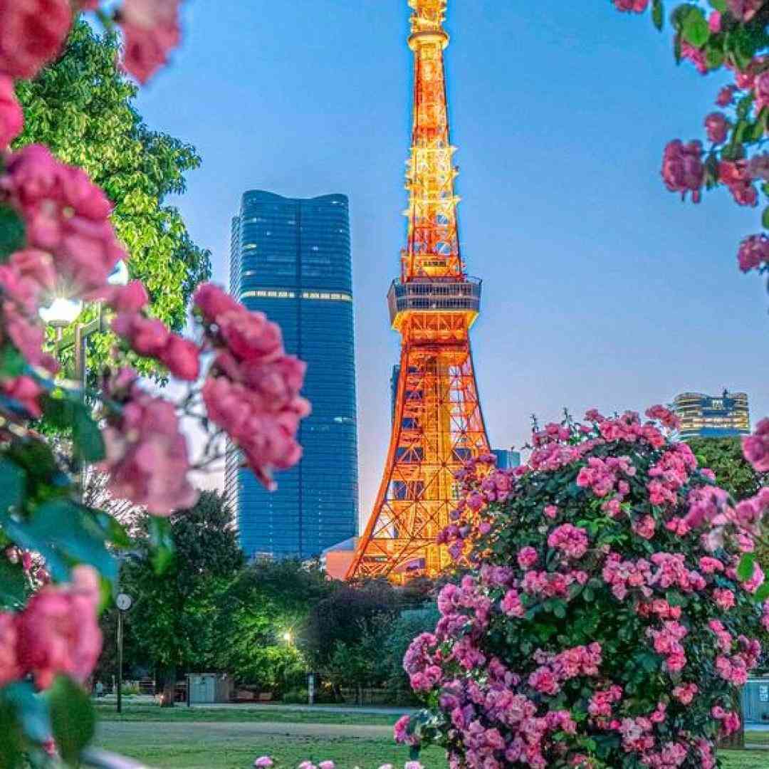خفن مازنی 2024