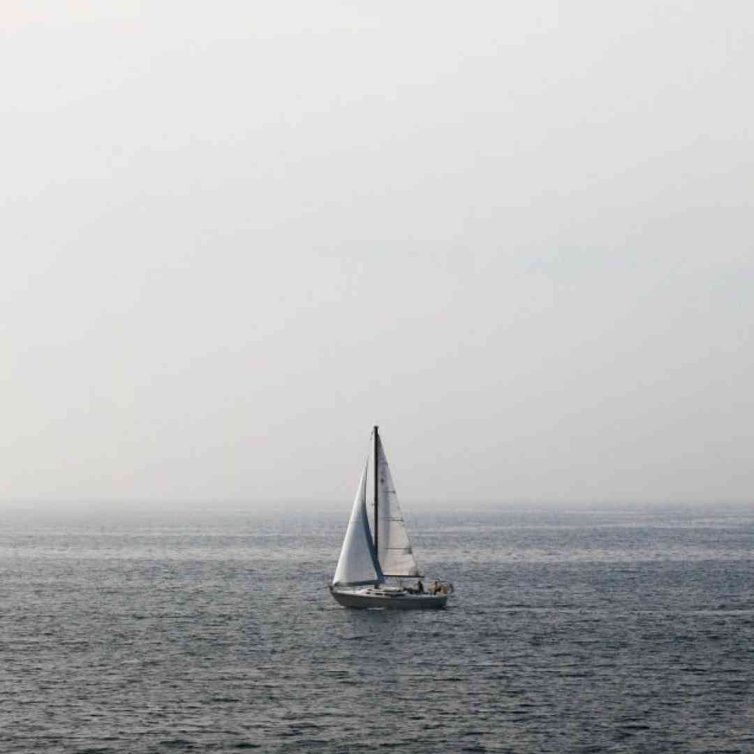 هرکی با ما بد بود حالا باهم رفیقن