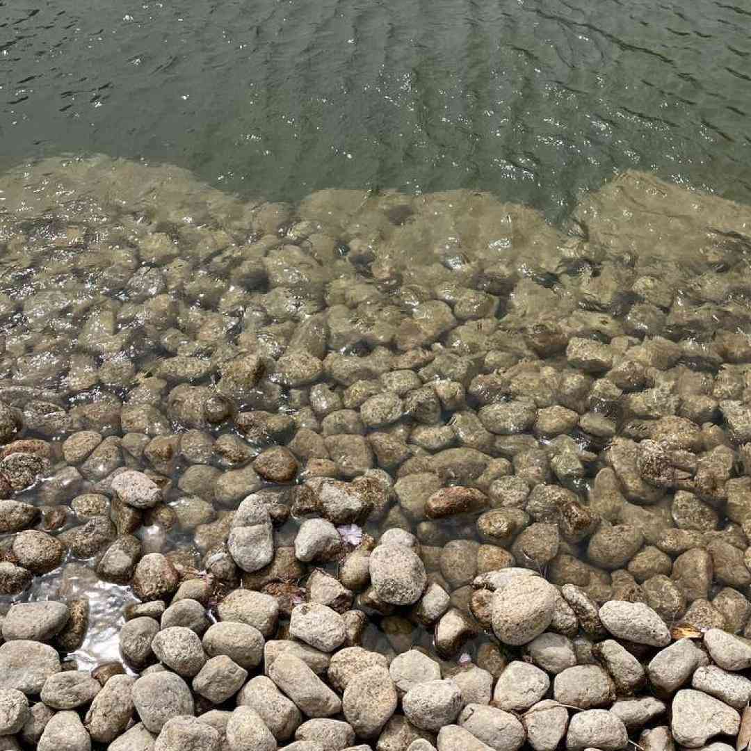  دیگه آروم نمیگیرم تو هر آغوشی برم