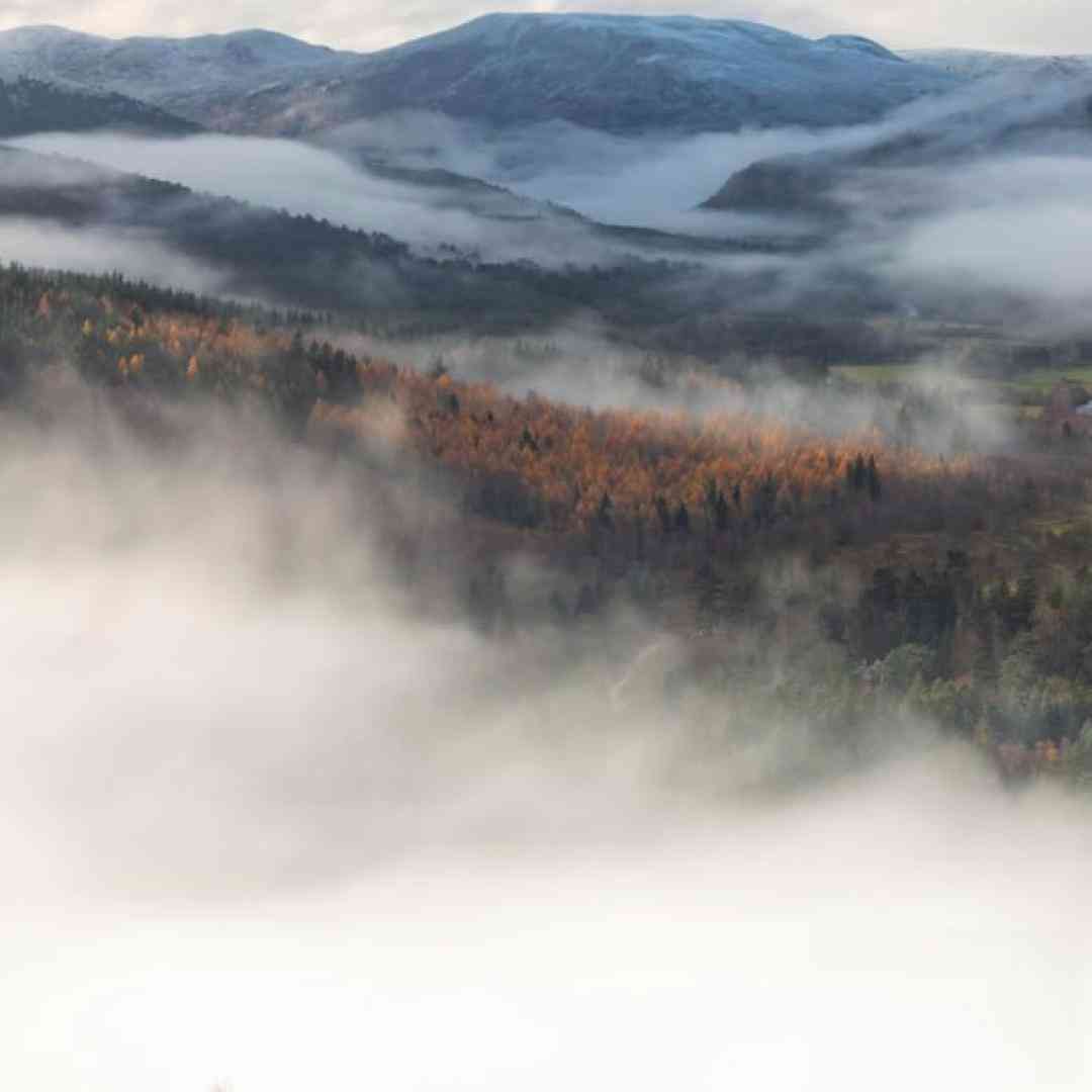 حالا که دوس داری بری هرجا هستی خوب باشی بیبی