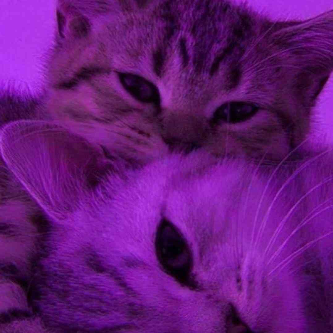  لب دره بیدار میپرم پایین این سری