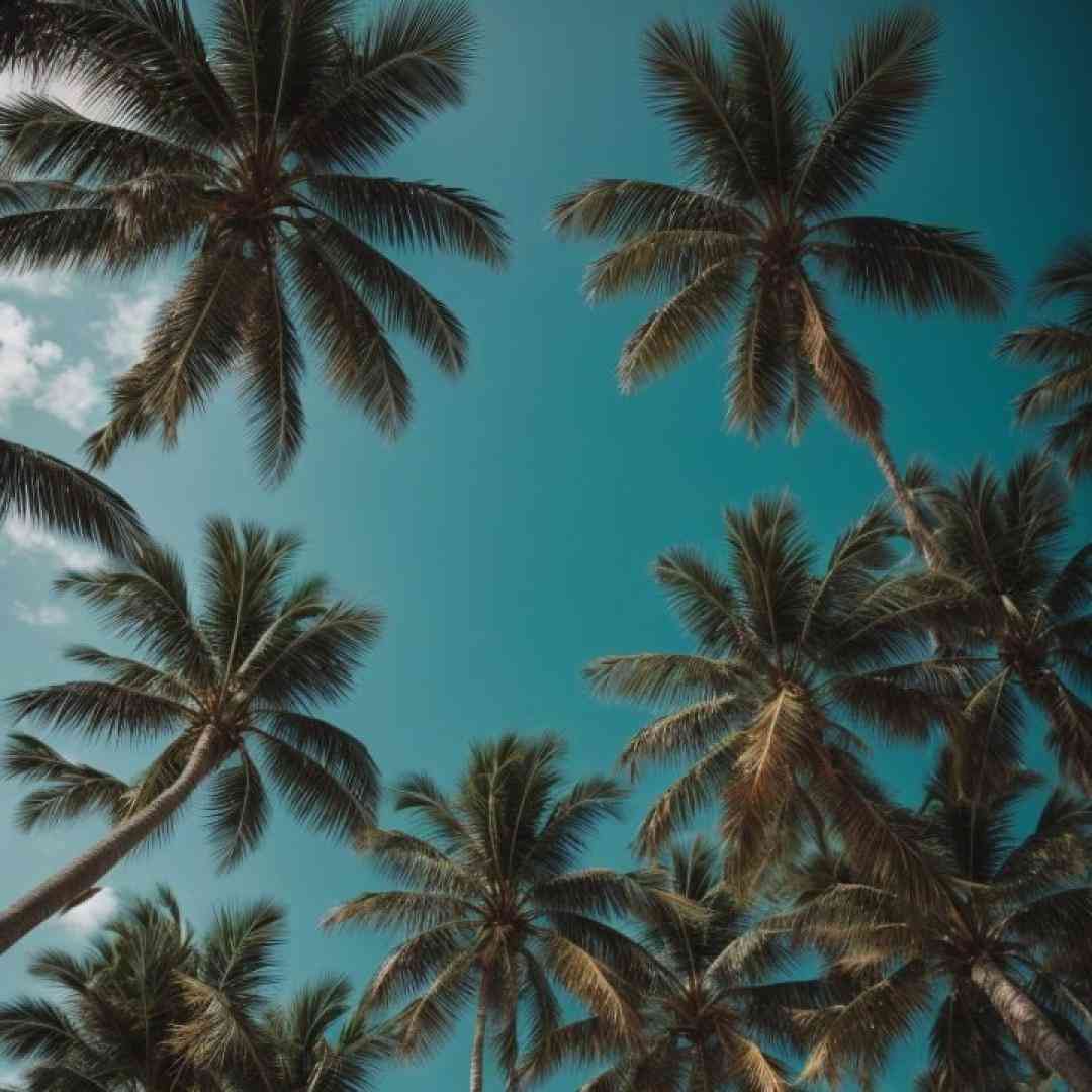 دخترم تو آخرین ناجی پاکی منی