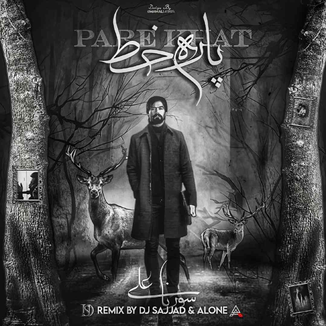 دیجی سجاد و الون پاره خط