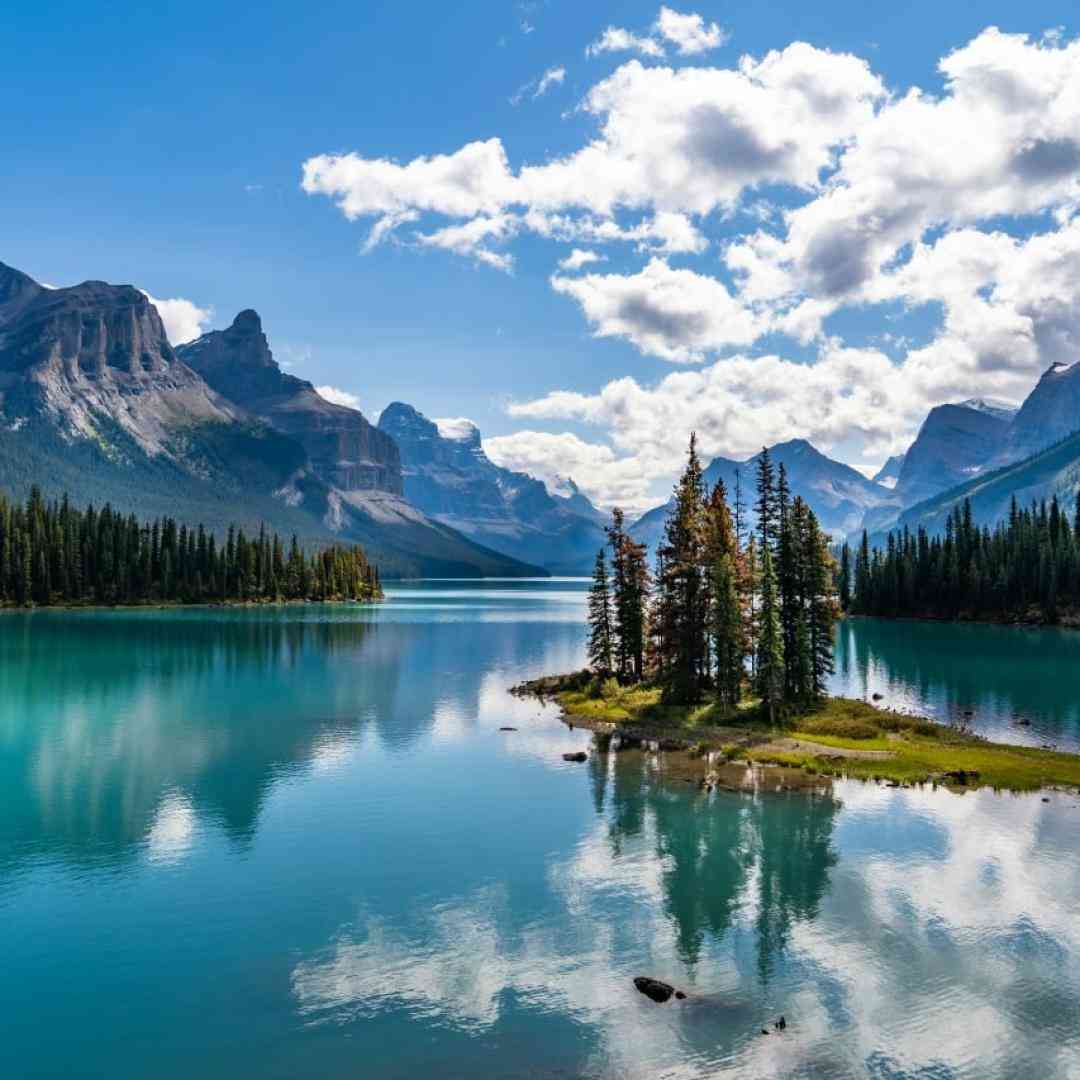 لیروی بیتز یوفوریا 4