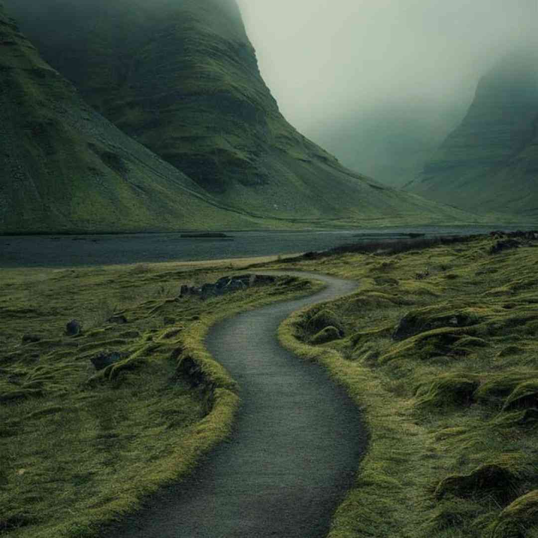  من پریدم بره از یادم چی رو از دست دادم