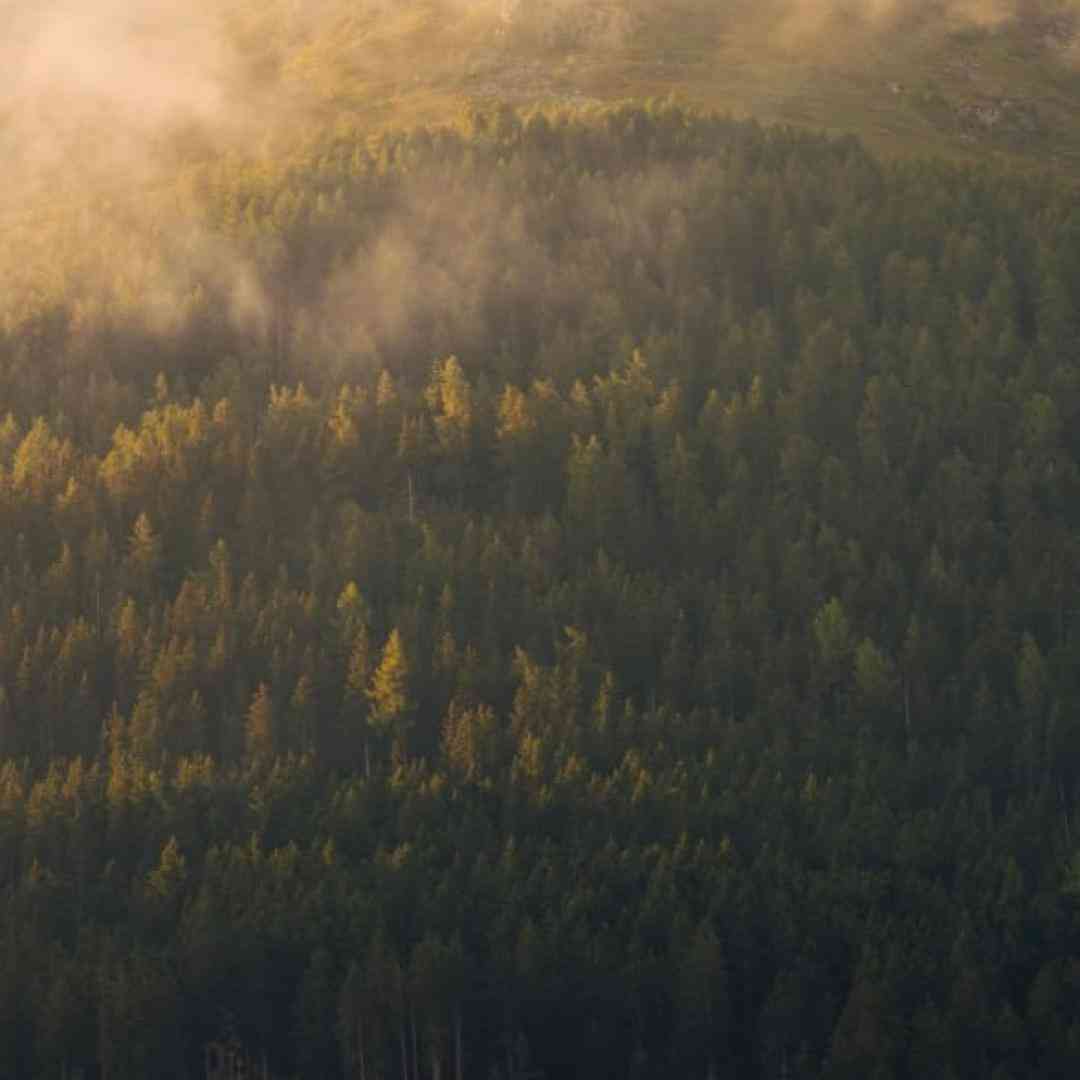  آهای فریاد فریاد عزیزم داره میاد