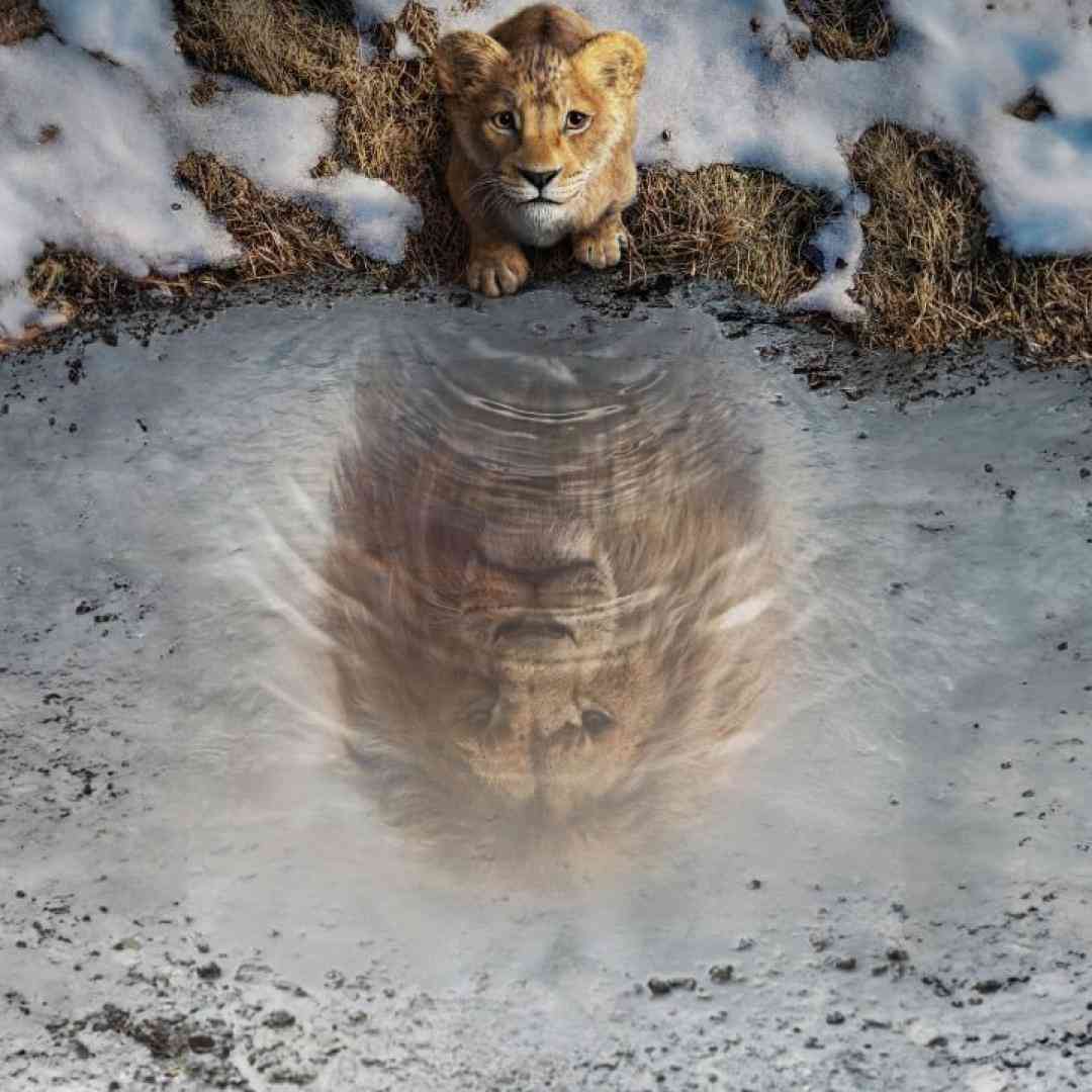 رو دراگی فکر میکنی کل شهرم هولتن