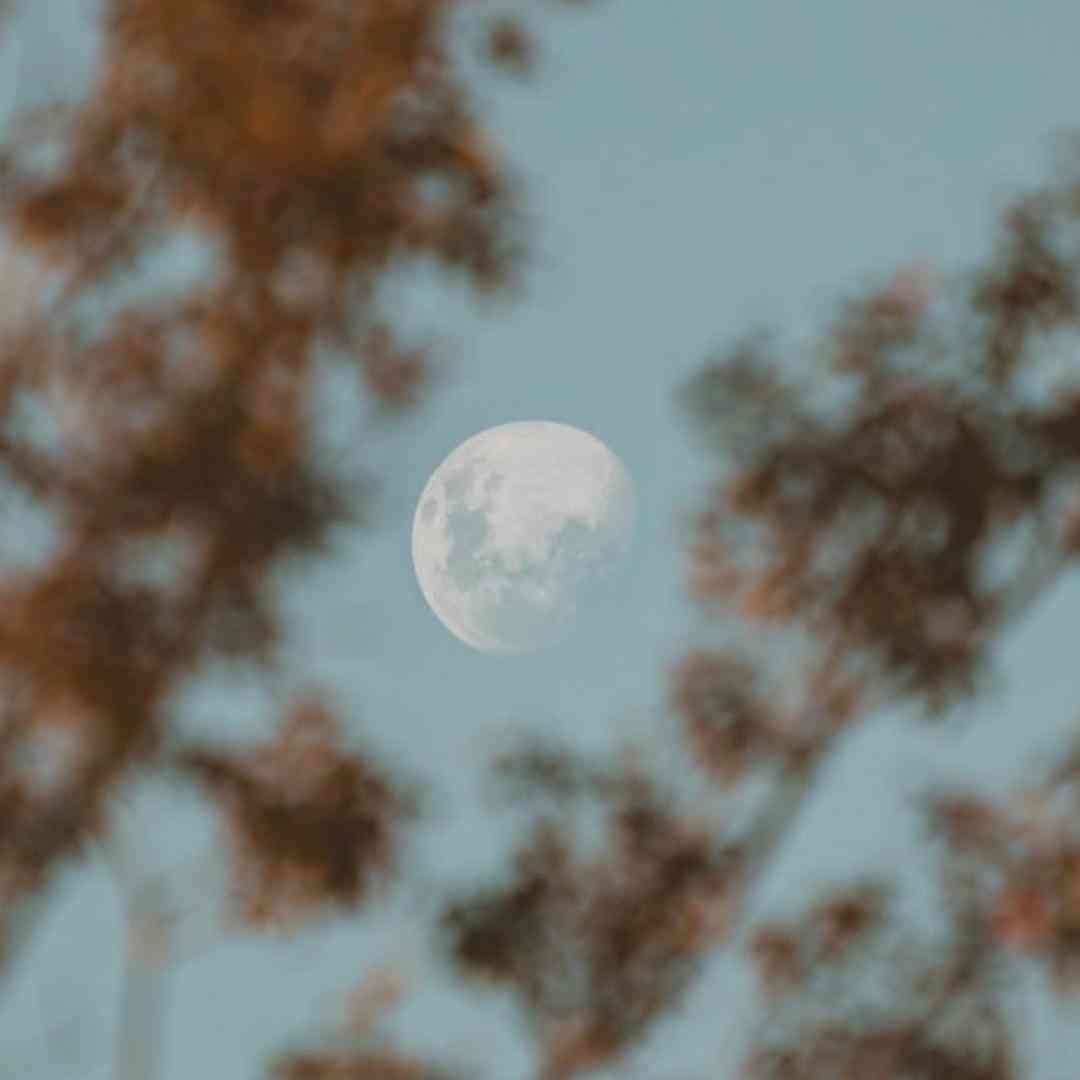 پاشو بیبی بیا بیا منو تو حیفیم بیا بیا