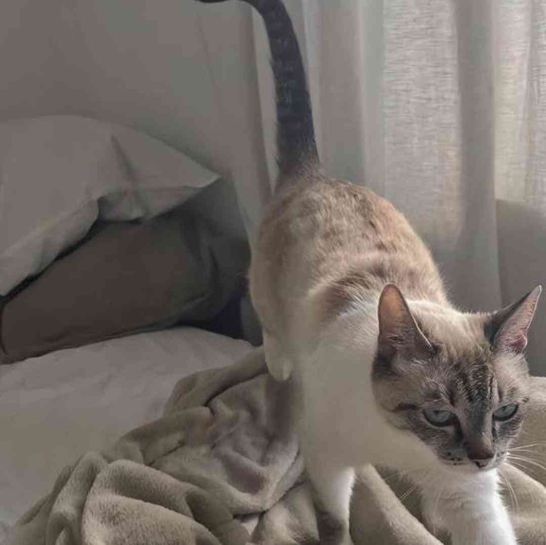  وقتی که راهت دوره یاد تو کنارمه قلب من