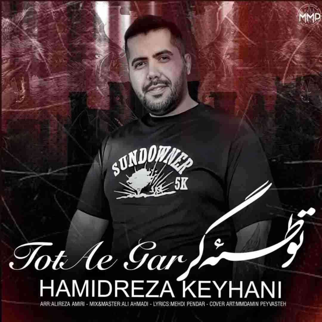 حمیدرضا کیهانی توطئه گر