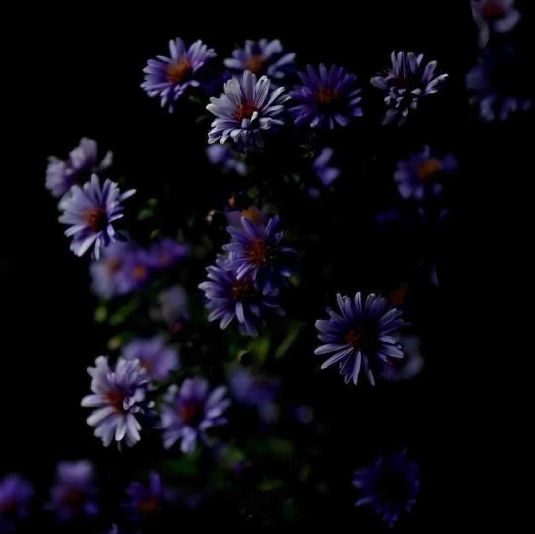  چرا واسه نجات بقیه فرشته باشم وقتی هیچکس دلش