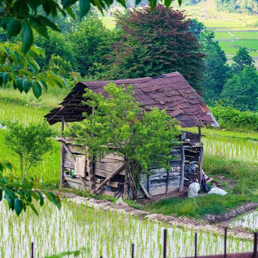  گل بیا تیم بشین تو طبیب دردام صدای پسر