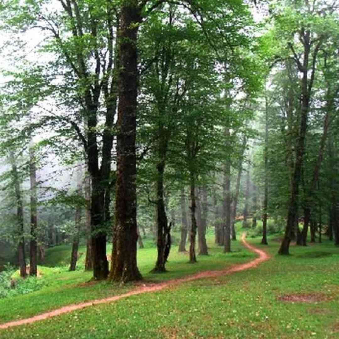 دختر بد فقط دعوا همش بحث همش اشکا میاد سخته