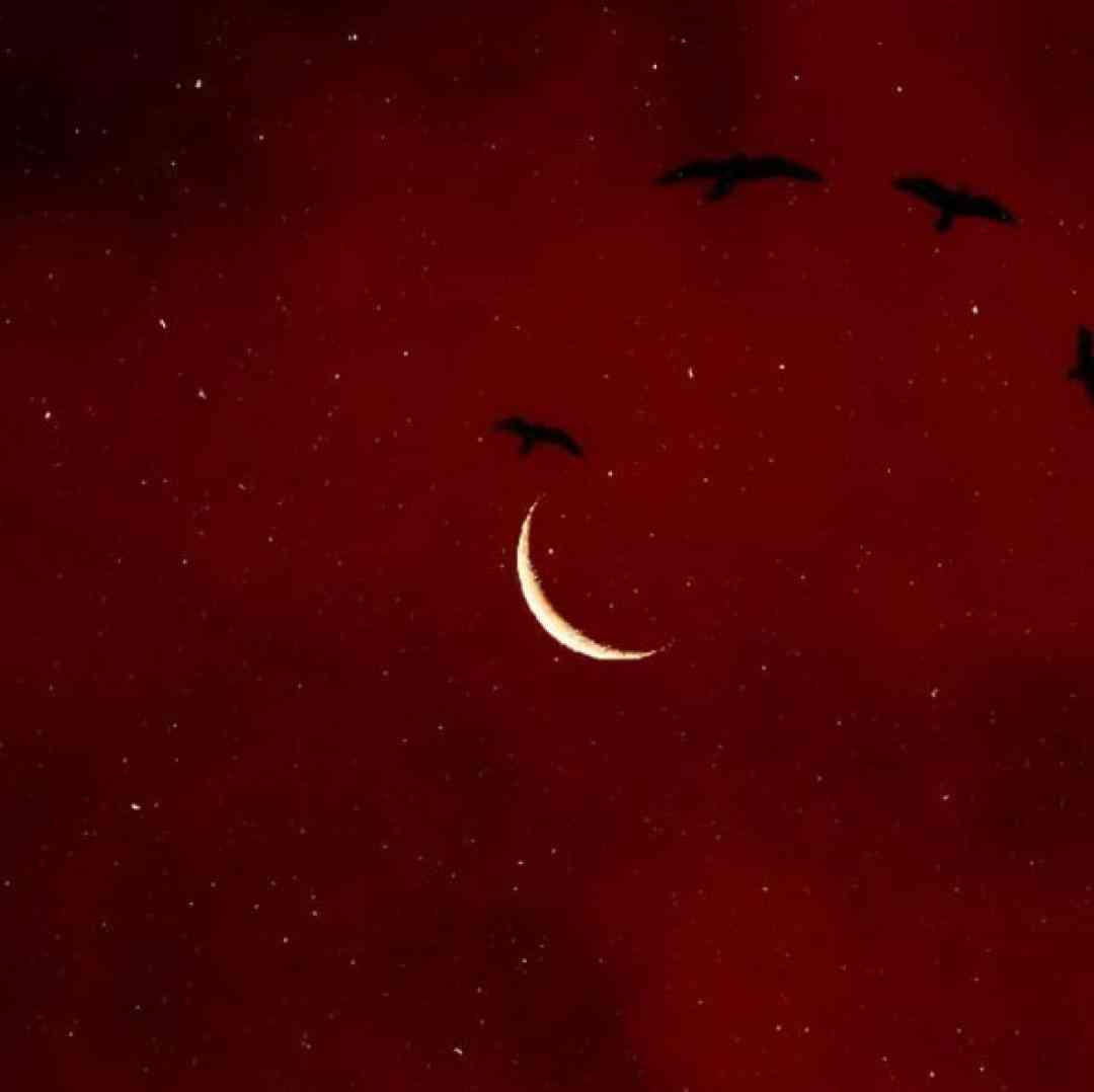  ترکیبمون با هم میشه بیبی باز