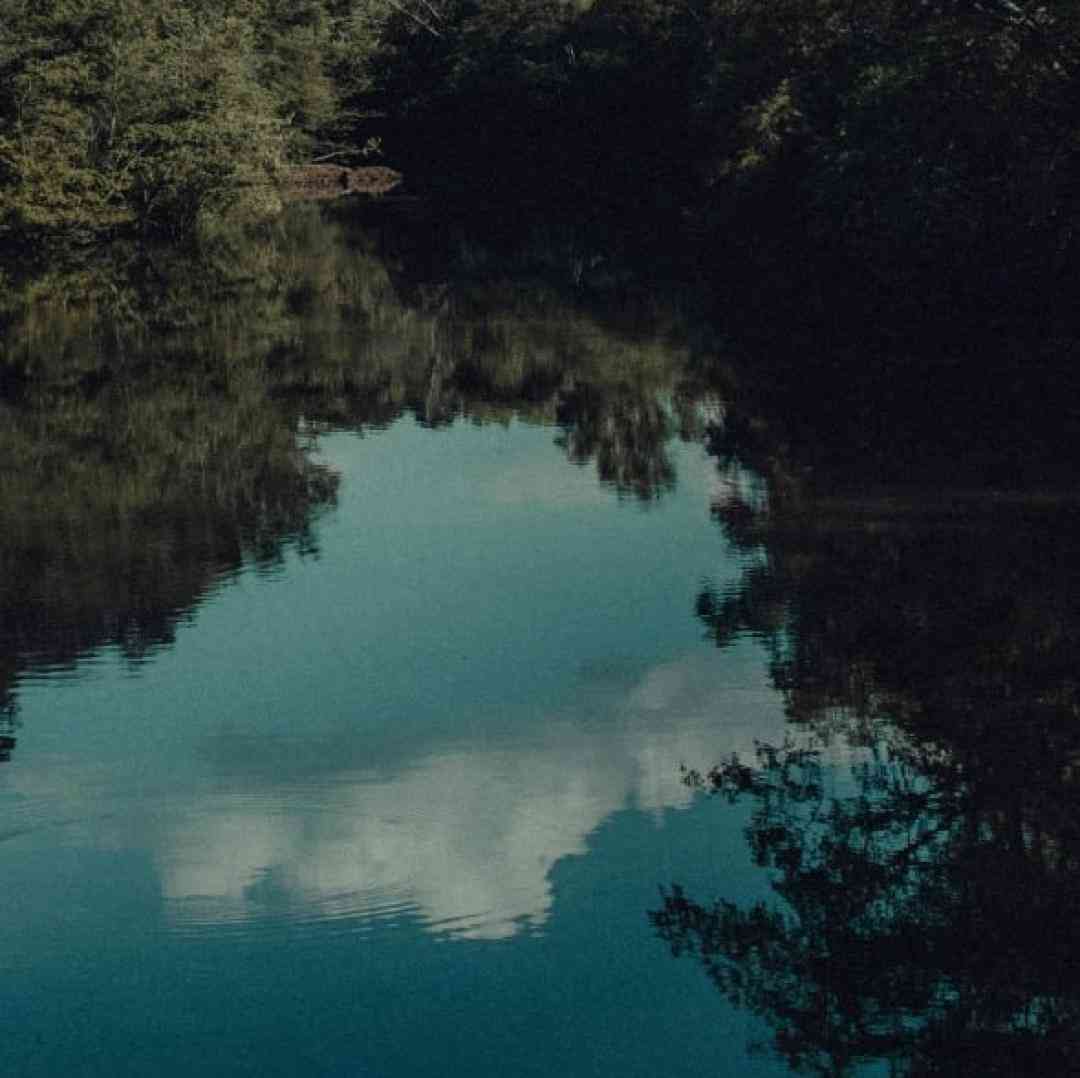  شبا مست میبینم هی خواب داریم برمیگردیم تهران