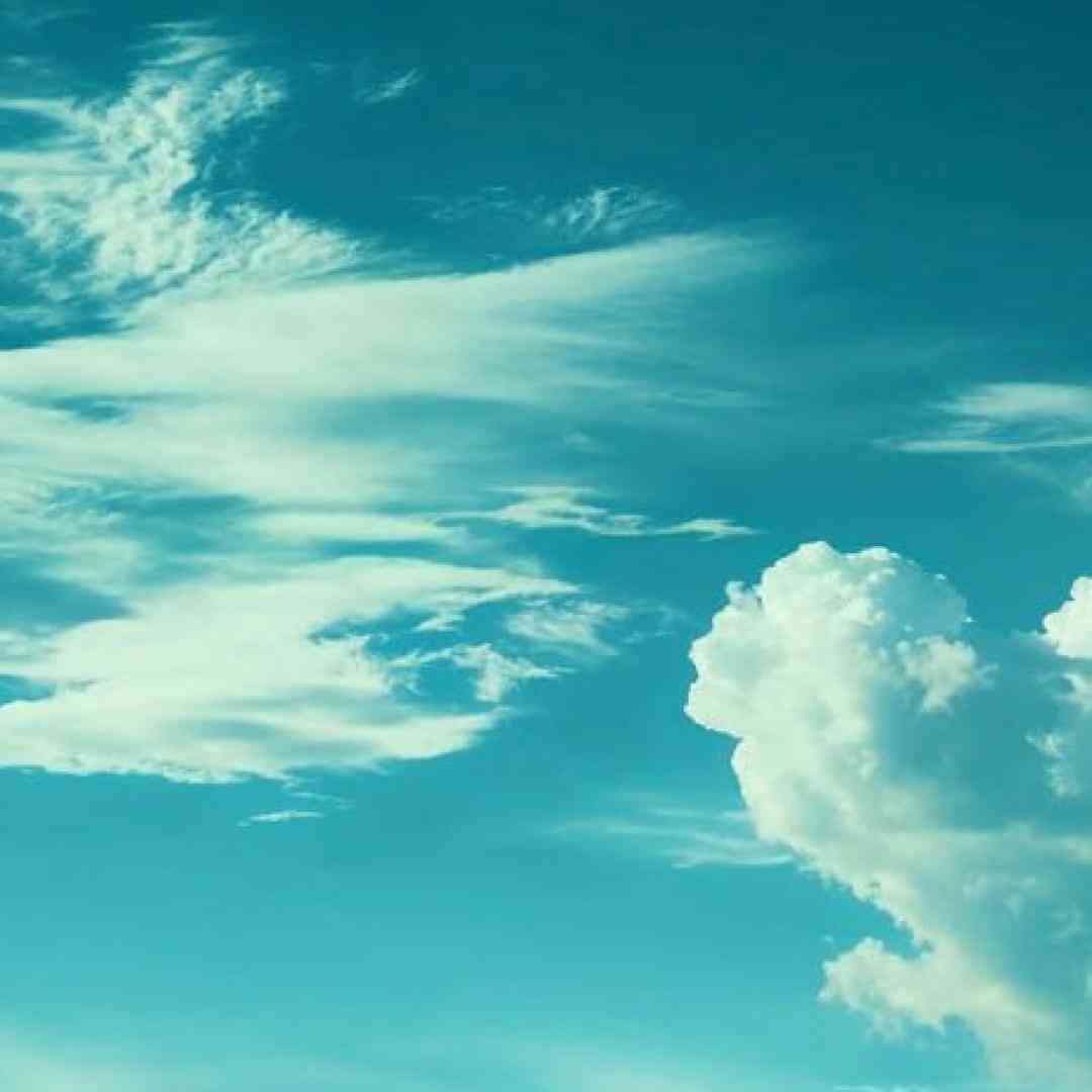  نگو هنوز همونی کردی تو یه کارایی که دیگه