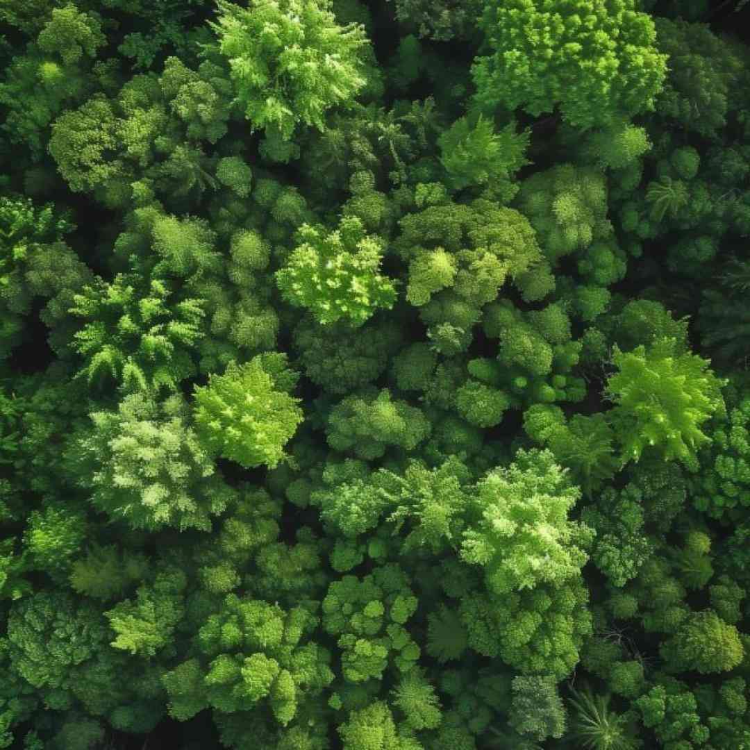  یارم یارم یارم محلی دوست دارم بیس دار اینستایی