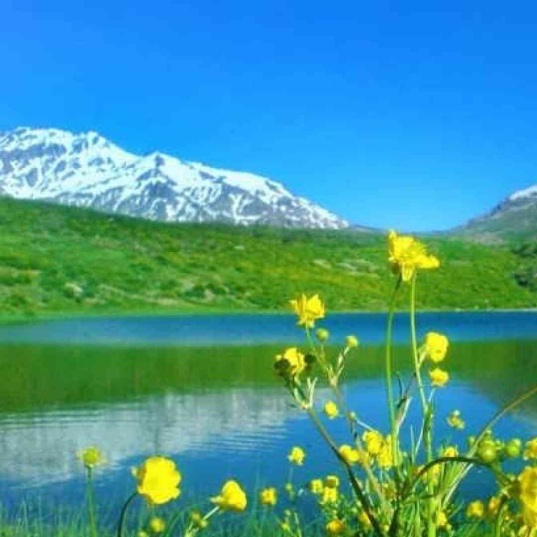  برگرد از این دیوانگی یا قانعم کن یا نرو با صدای زن