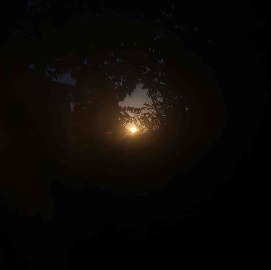  عاشقوم سی تیلش باصدای زن کامل لری