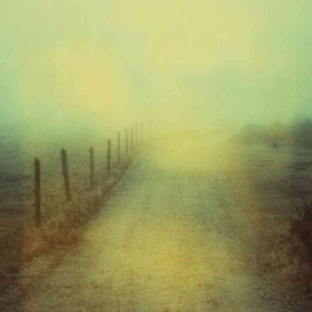 فاطمه مهلبان شک نکن