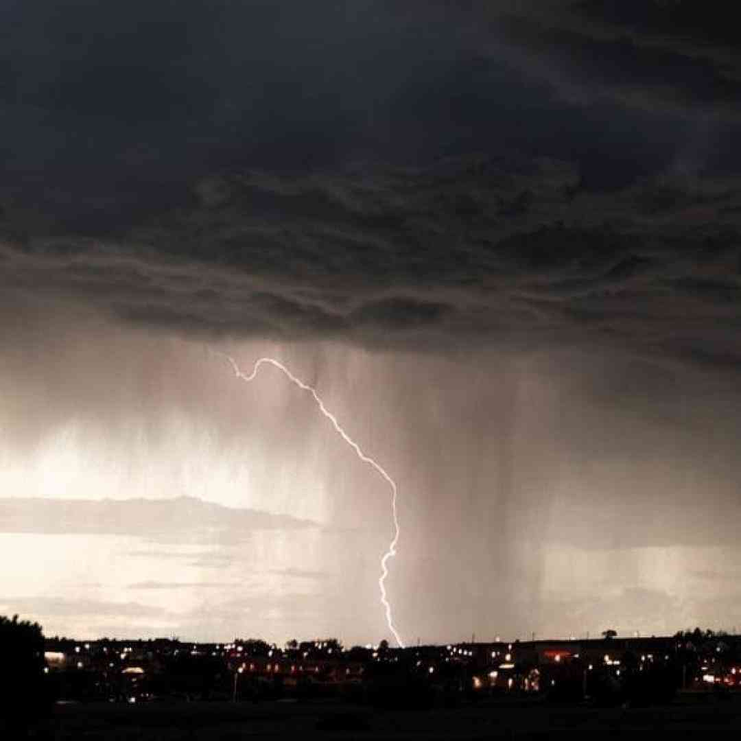  حالا که پیله شدی ول نمیدی