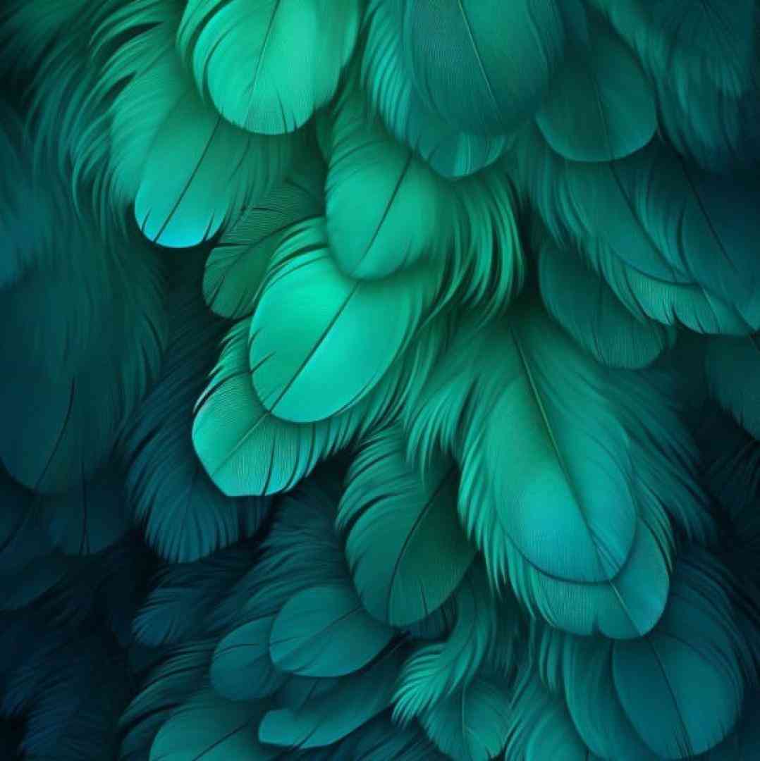  چنو بخت مه داره سر ناسازگاری با صدای پسر