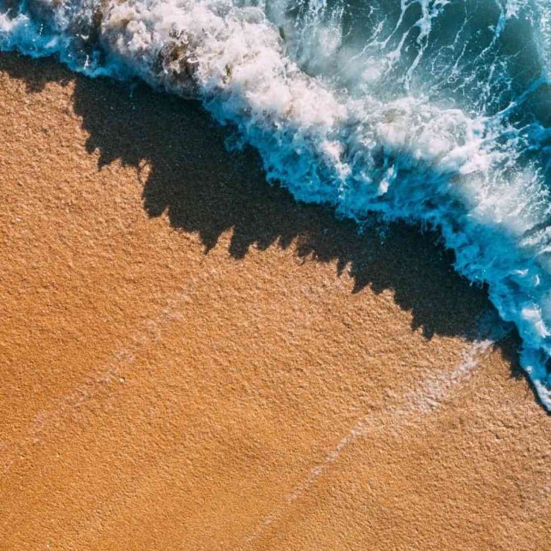  امشب ای دوست به کاشانه ما آمده ای