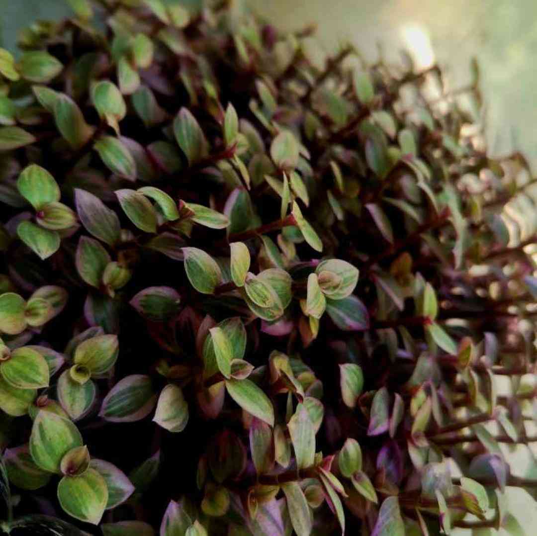  این یه حس جدیده صدای دختر