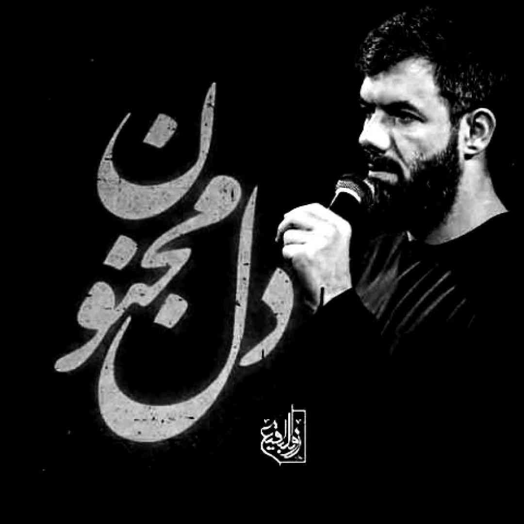 حسین ستوده دل مجنون