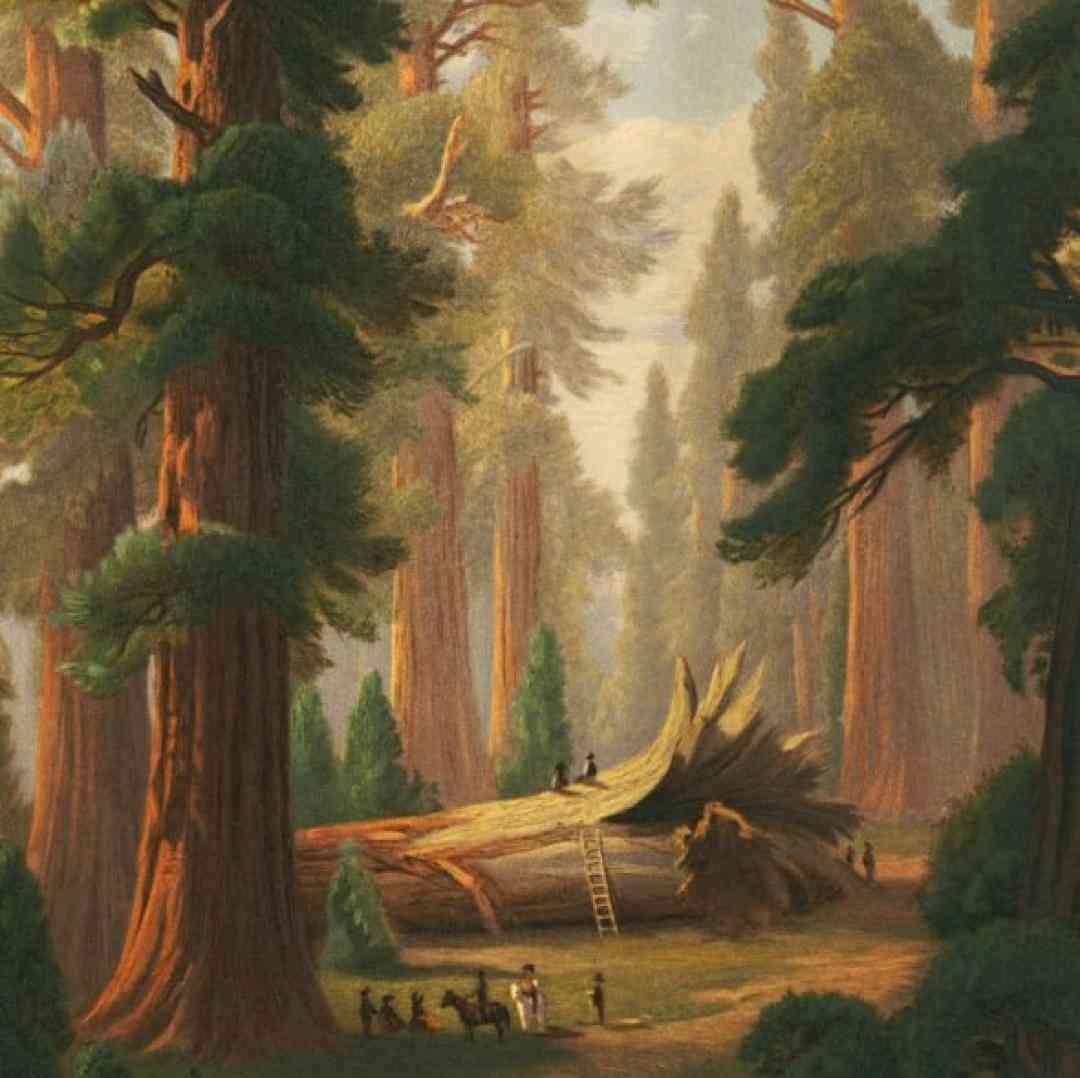 یادمه من روزای اول غروب و طلوع