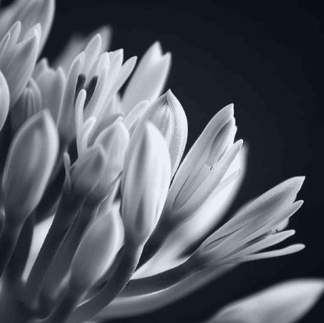  مال خود من باش با صدای بچه