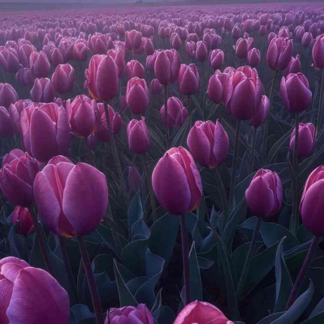 هیچیو نبین دوباره ببند درو میفهمونه بهت یه روز