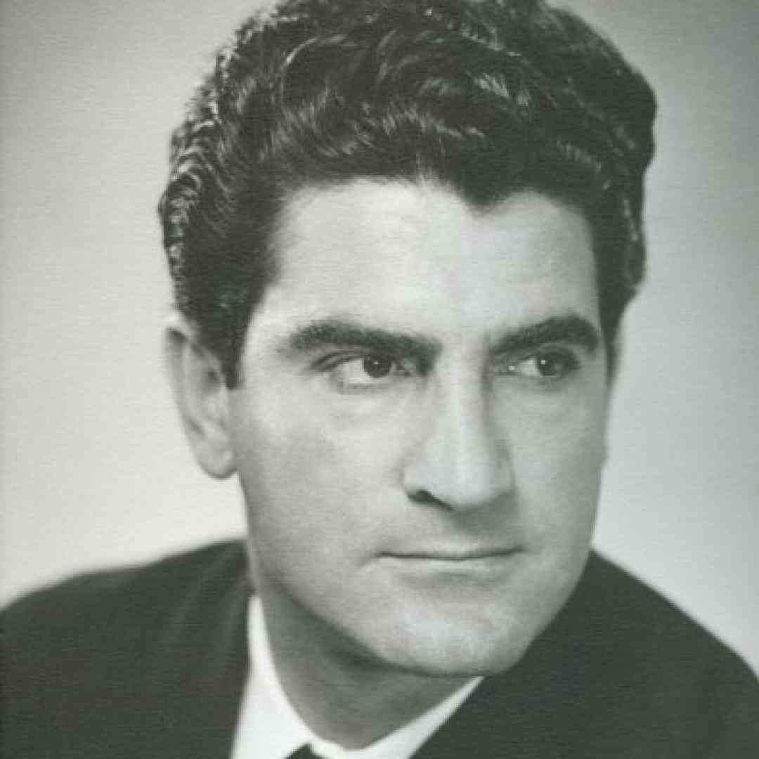 ویگن زن زیبا بود در این زمونه