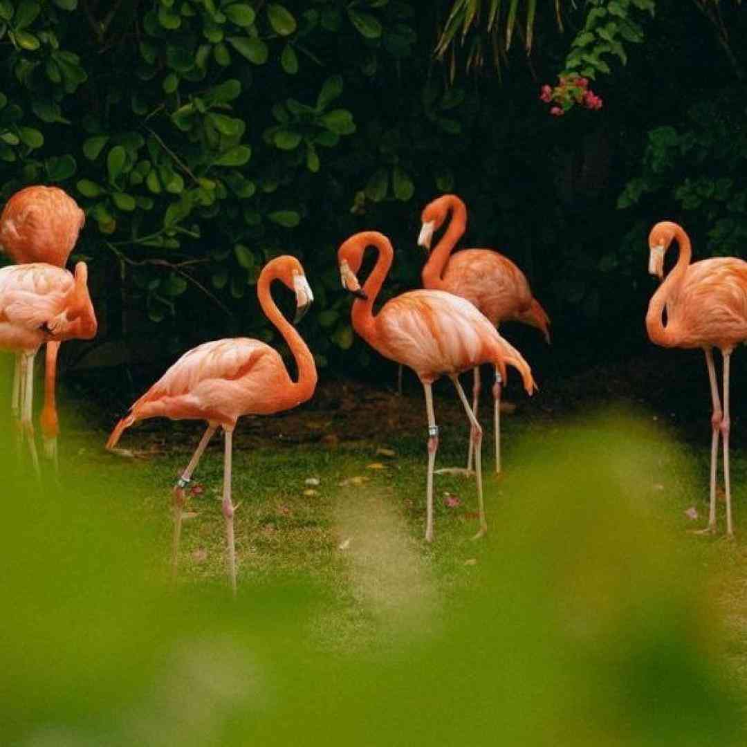 تو که بی وفا نبودی رفیق نیمه راه نبودی